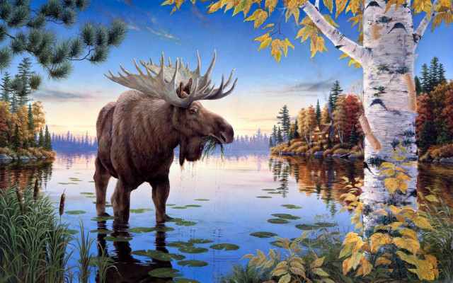 Moose water tree lake sky free wallpaper for desktop - medium preview image