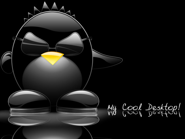 Black bird yellow beak black free wallpaper for desktop - medium preview image