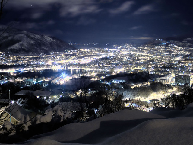 City night snow hill trees free wallpaper for desktop - medium preview image