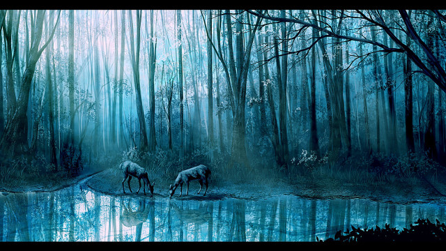 Animals woods river reflection forest free wallpaper for desktop - medium preview image