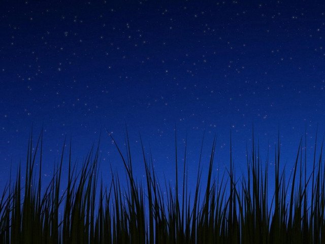 Night sky stars grass blue free wallpaper for desktop - medium preview image