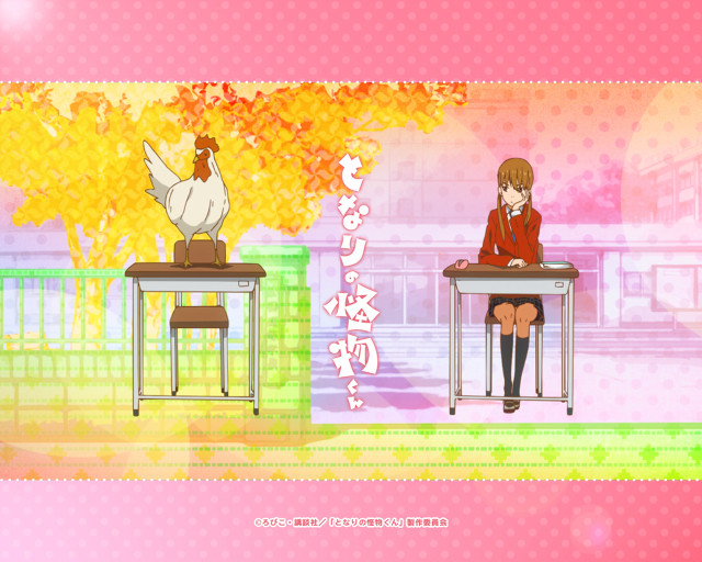 Girl chicken desk sitting shoulder free wallpaper for desktop - medium preview image