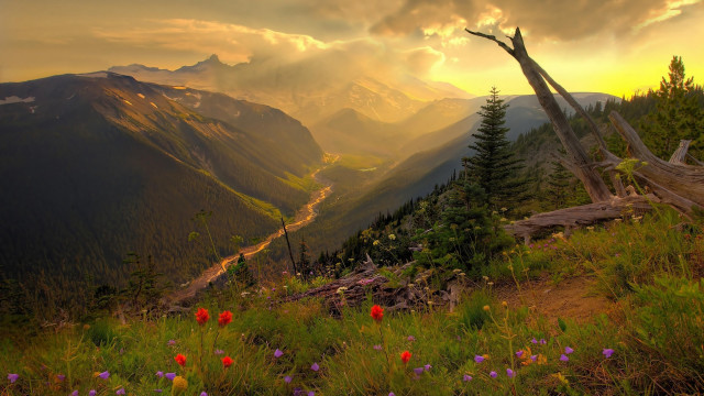 Beautiful valley mountains flowers foreground #2 free wallpaper for desktop - medium preview image