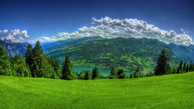 Green field trees mountains lake #11 free wallpaper for desktop - medium preview image