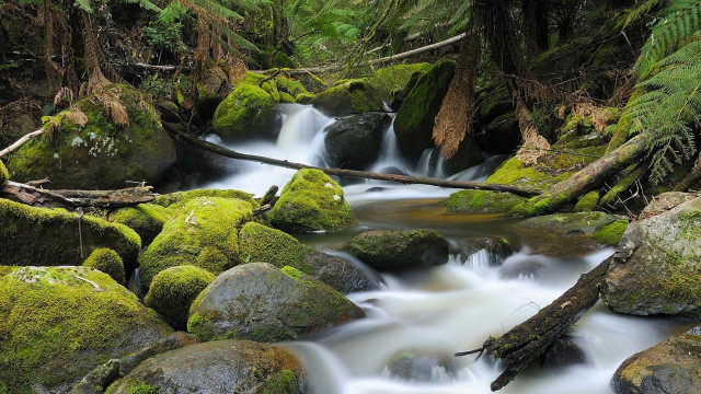 Lush green forest stream rocks #2 free wallpaper for desktop - medium preview image