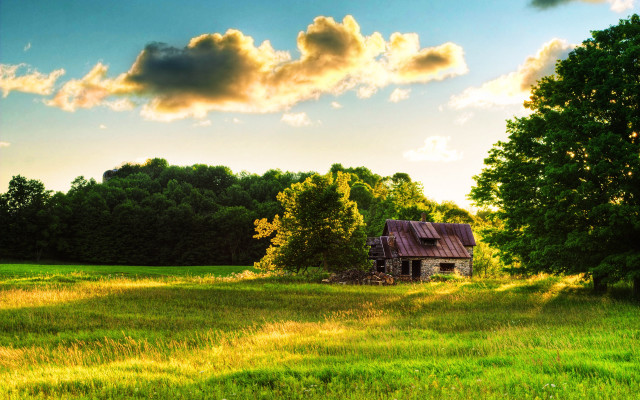 House field trees background cloudy free wallpaper for desktop - medium preview image