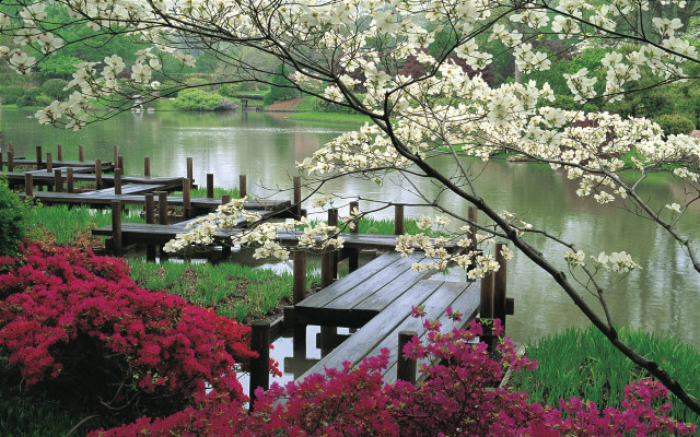 Wooden dock flowers trees lake free wallpaper for desktop - medium preview image