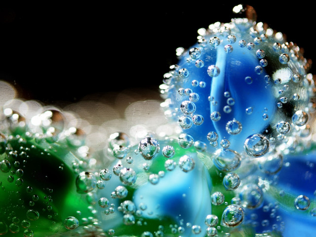 Blue flower water droplets macro #2 free wallpaper for desktop - medium preview image