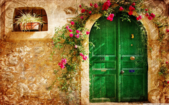 Green door flower christmas tree free wallpaper for desktop - medium preview image