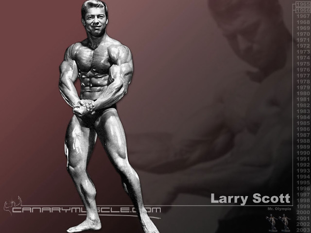 Muscular man black white red free wallpaper for desktop - medium preview image