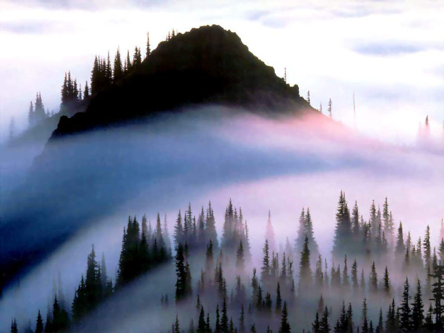 Mountain fog trees sky background free wallpaper for desktop - medium preview image