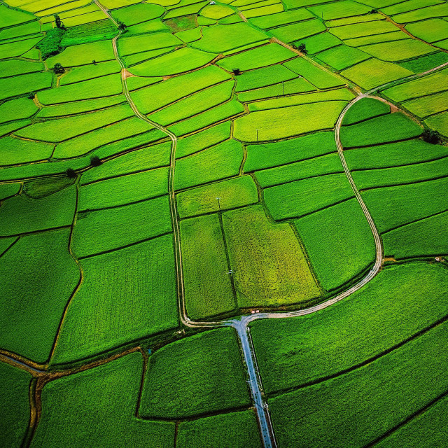 Green field river sky background free wallpaper for tablet - medium preview image
