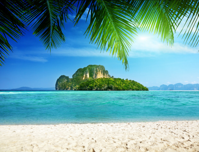 Tropical island palm tree beach free wallpaper for desktop - medium preview image