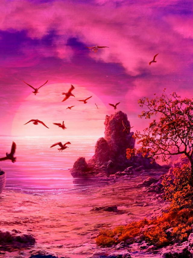 Boat ocean birds sunset pink free wallpaper for mobile - medium preview image