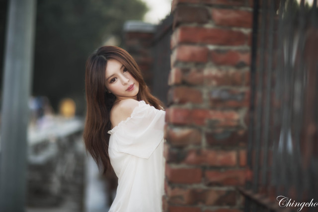 Woman long hair brick wall #6 free wallpaper for desktop - medium preview image