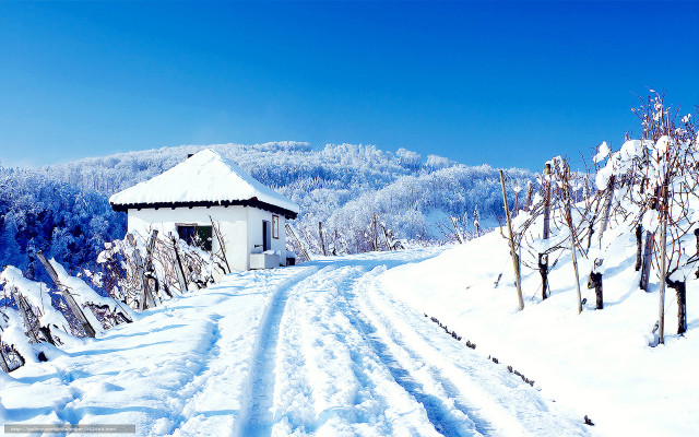 Snowy road white building trees free wallpaper for desktop - medium preview image