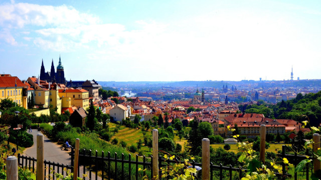 City buildings trees fence town free wallpaper for desktop - medium preview image
