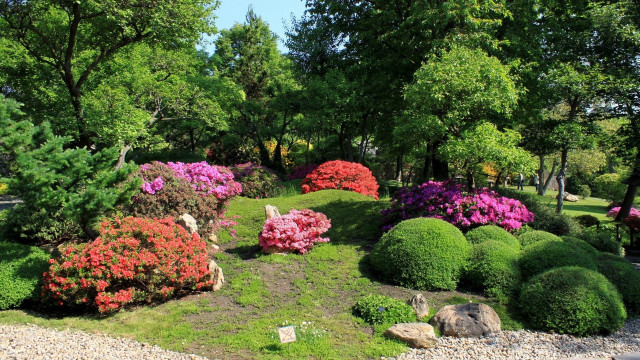 Garden flowers rocks bench middle free wallpaper for desktop - medium preview image