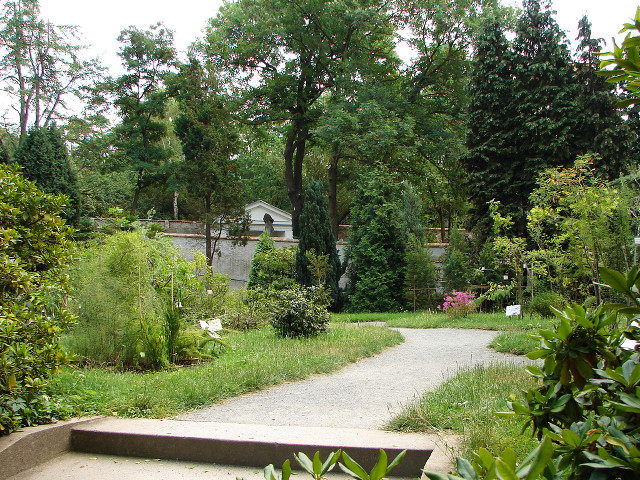 Cement bench park trees cherry free wallpaper for desktop - medium preview image