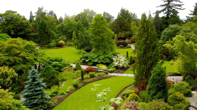 Lush green park trees bushes #2 free wallpaper for desktop - medium preview image