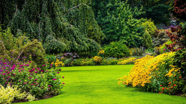 Lush green garden flower path free wallpaper for desktop - medium preview image