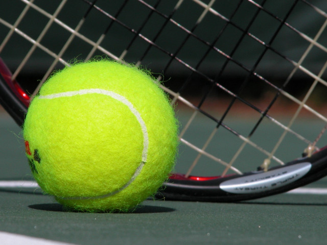 Tennis ball racket court net free wallpaper for desktop - medium preview image