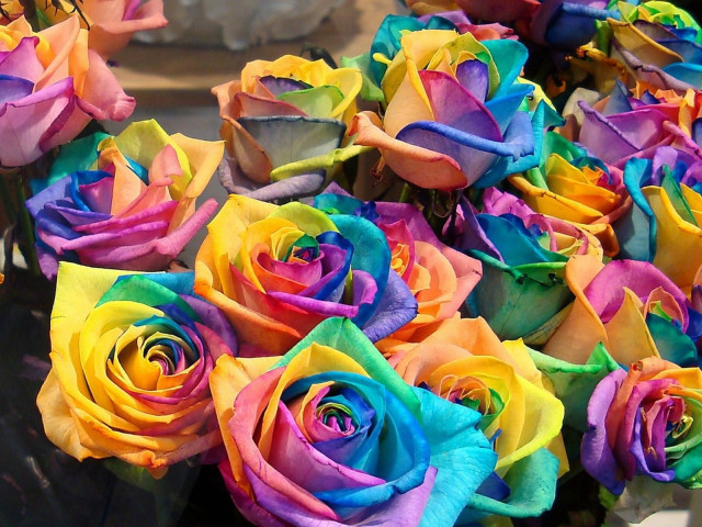 Multicolored roses vase table statue free wallpaper for desktop - medium preview image