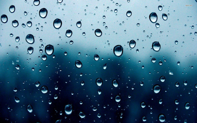 Window rain drops trees background free wallpaper for desktop - medium preview image