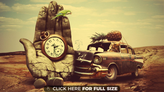 Car clock hand bird perched free wallpaper for desktop - medium preview image