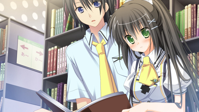 Couple people bookshelf books in free wallpaper for desktop - medium preview image