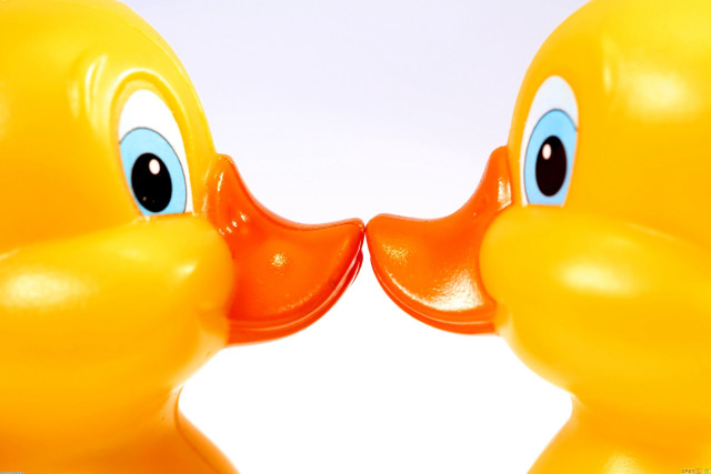 Yellow rubber ducks blue eyes free wallpaper for desktop - medium preview image