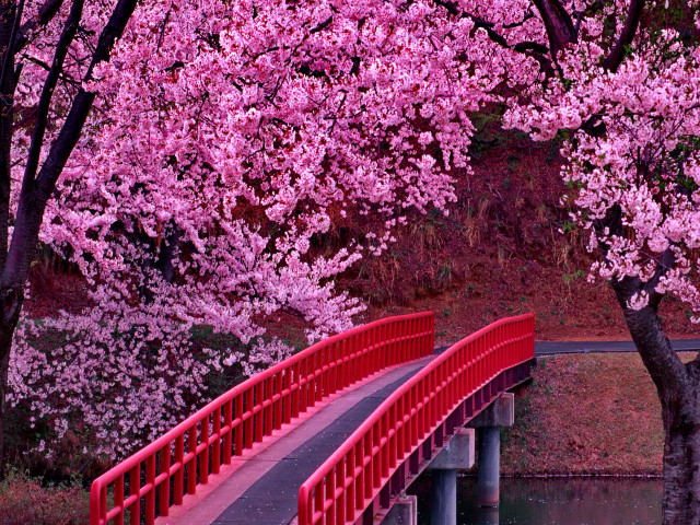 Red bridge river railing bench free wallpaper for desktop - medium preview image