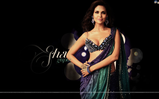 Woman sari posing picture hands #2 free wallpaper for desktop - medium preview image