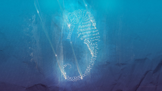 Sea horse swimming blue background free wallpaper for desktop - medium preview image