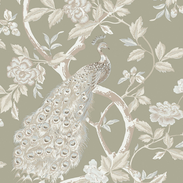 Peacock branch flowers leaves backside free wallpaper for tablet - medium preview image