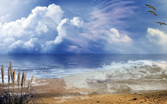 Beach wave crashing birds flying free wallpaper for desktop - medium preview image