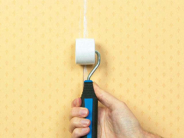 Person holding blue black object free wallpaper for desktop - medium preview image