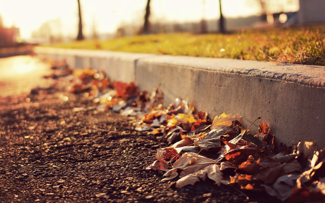 Leaves curb streetlight autumn blurry free wallpaper for desktop - medium preview image