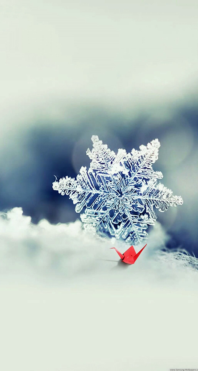 Red origami bird winter snowflake free wallpaper for mobile - medium preview image