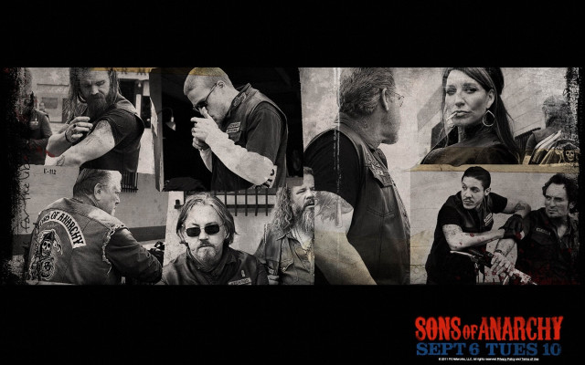 Collage facial expressions hair styles #2 free wallpaper for desktop - medium preview image