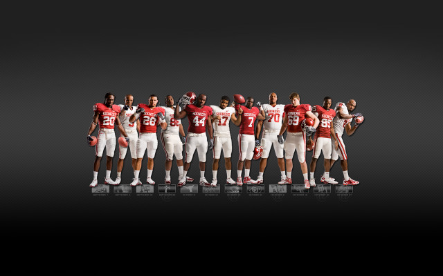 Football players arms in air free wallpaper for desktop - medium preview image