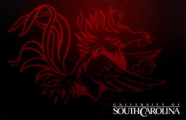 Red black background red bird free wallpaper for desktop - medium preview image