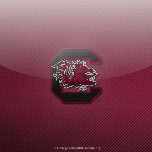 College southcarolina logo red black free wallpaper for tablet - medium preview image