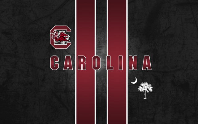 Carolina logo palm tree crescent free wallpaper for desktop - medium preview image