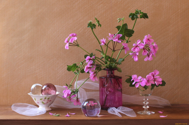 Vase flowers table cloth items free wallpaper for desktop - medium preview image