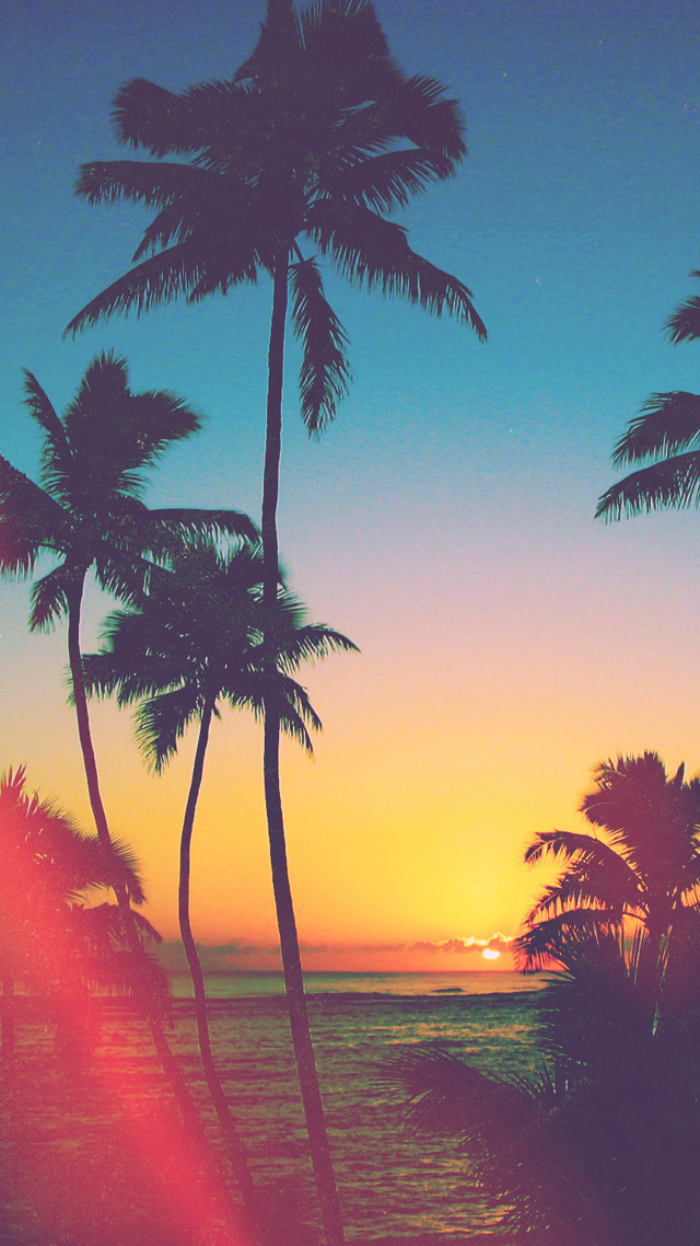 Sunset palm trees ocean orange #2 free wallpaper for mobile - medium preview image