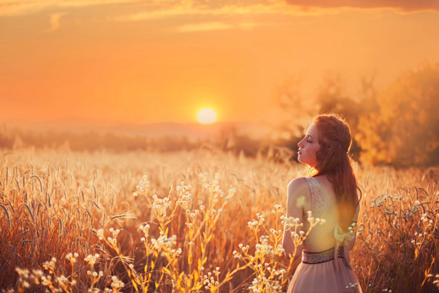 Woman field tall grass sunset free wallpaper for desktop - medium preview image