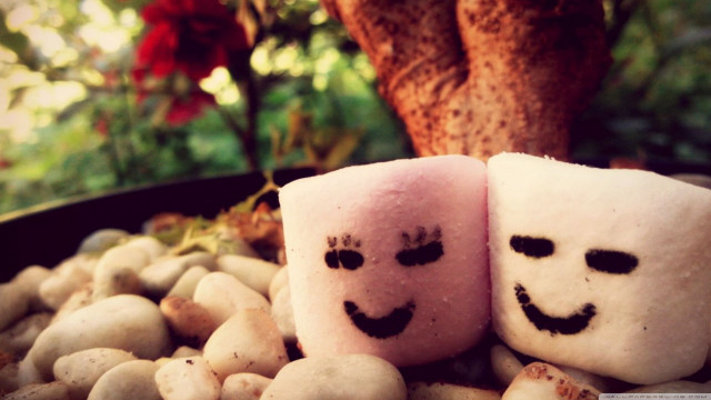 Marshmallows with faces on rocks free wallpaper for desktop - medium preview image