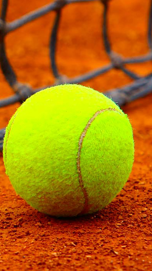Tennis ball court net background free wallpaper for mobile - medium preview image