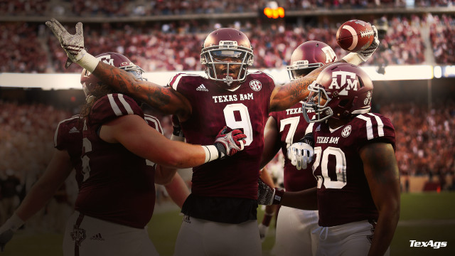 Football players field crowd holding free wallpaper for desktop - medium preview image